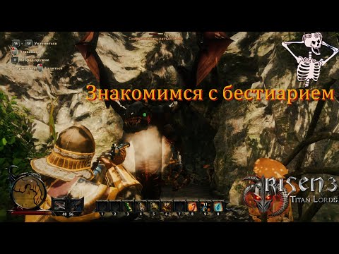 Видео: [Первое прохождение] Risen 3: Titan Lords, серия 5