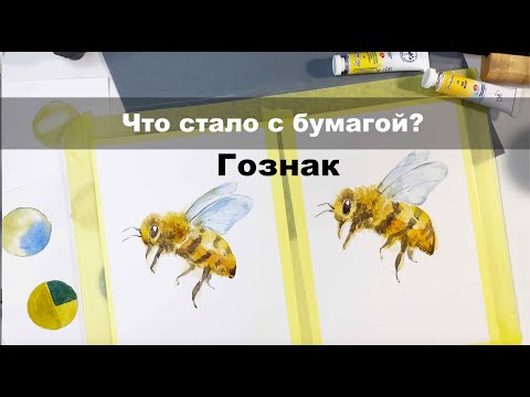 Видео: Бумага для акварели Гознак, сравнение