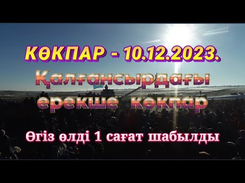 Видео: Сарыбаевтар әулеті Ыбырай қажы көкеміздің елден бата алу той көкпары 10.12.2023.