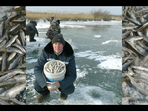 Видео: Подледный лов. Морская малоротая корюшка - Писуч. часть №1 Изготовление снасти.