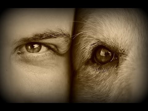 Видео: ПОЧЕМУ НЕ СТОИТ ПРИВЯЗЫВАТЬСЯ К ЖИВОТНЫМ?