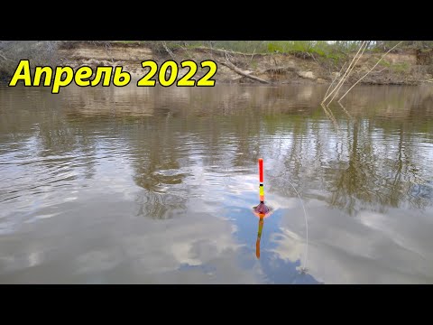 Видео: Рыбалка на реке . Весенний клёв 2022