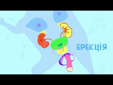 Видео: Статеве дозрівання хлопчиків