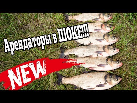 Видео: Ловля толстолоба новый метод!!! Арендаторы в шоке.