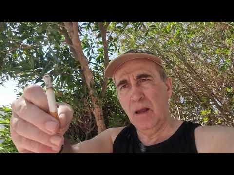 Видео: Сигареты. Спорт. Отдых. #табак #сигаретные гильзы # Египет.