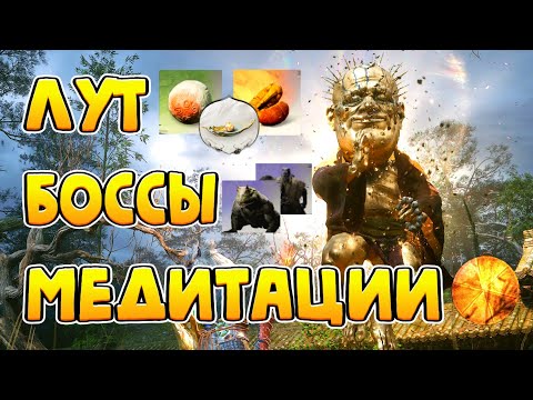 Видео: ВСЕ СЕКРЕТЫ ПЕРВОГО АКТА - BLACK MYTH: WUKONG