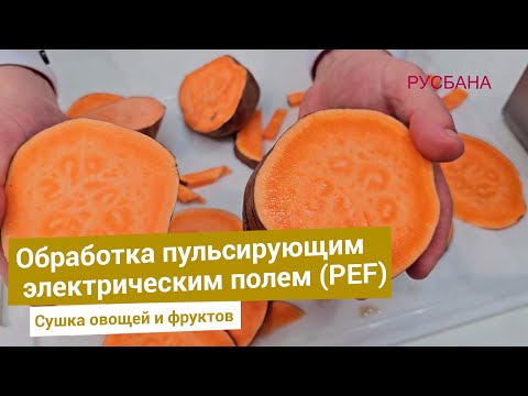 Видео: Повышение эластичности корнеплодов и фруктов за счет обработки PEF пульсирующим электрическим полем