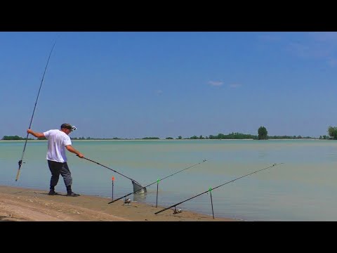 Видео: УТРОМ КЛЮНУЛО СРАЗУ НА ВСЕ СНАСТИ! Рыбалка с ночёвкой.