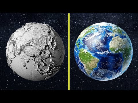 Видео: Что Будет Если Все Деревья На Земле Исчезнут?