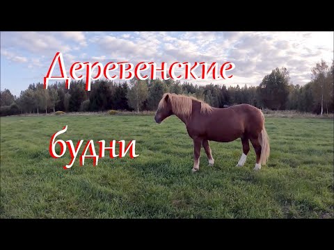 Видео: Отдыхаю после сенокоса. Рыбалка. Поиск металла.