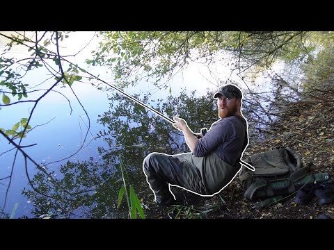 Видео: Я поймал КОРОВУ из Забытых Прудов! Самая жирная рыба, которую я когда-либо ловил!