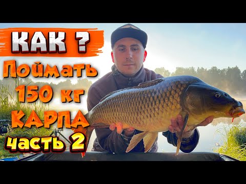 Видео: Как поймать МНОГО КАРПА на ФЛЭТ и карповые монтажи