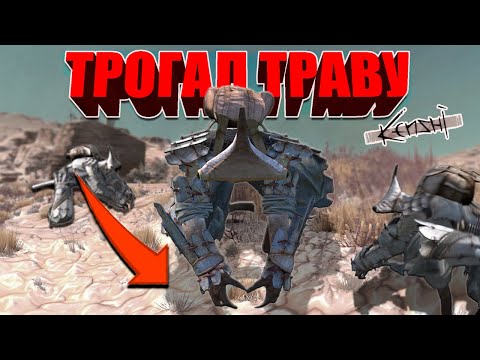 Видео: НИКТО еще не смотрел на kenshi ТАК. Разбор растений в мире игры. Шизотеории.