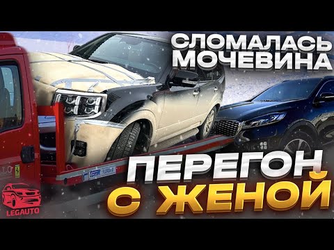 Видео: Перегон KIA MOHAVE и SORENTO. Сломалась Мочевина / Моя Жена в шоке. Авто из Кореи под заказ