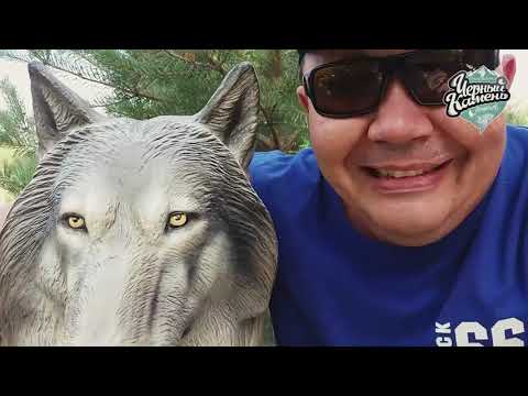 Видео: Экскурсия в пансионате "Черный камень" на Алаколе  2019