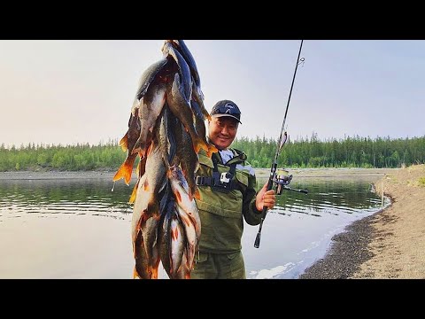Видео: Шардара рыбалка ИЮЛЬ 2025Г КАЗАХСТАН.