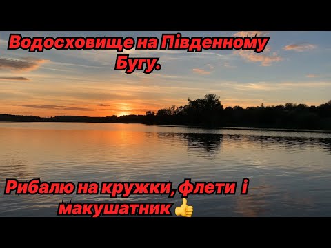 Видео: Водосховище на Південному Бузі. Рибалю на кружки, флети і макушатник 👍