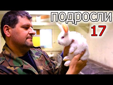 Видео: КРОЛЬЧАТАМ 20-25 ДНЕЙ. ЧТО ПРОИСХОДИТ?