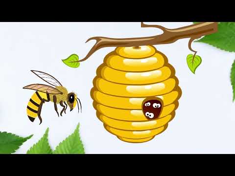 Видео: Дидактична гра "Де живуть комахи?"