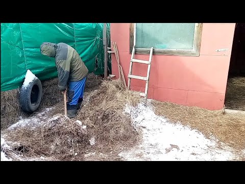 Видео: Удивительная посылка от подписчика/И как дошёл наш сыр