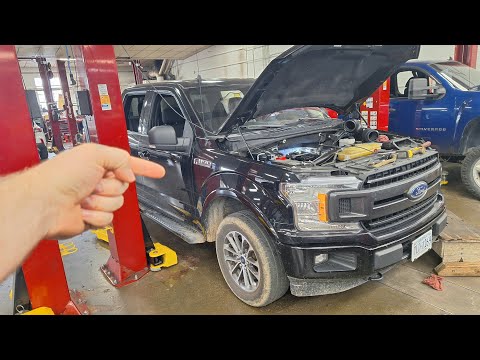 Видео: Распространённые проблемы с 10-ступенчатой ​​коробкой передач Ford! Объяснение от Ford Tech