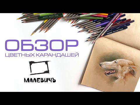 Видео: Обзор новой серии  цветных карандашей "Малевичъ" Graf'Art Color Pro