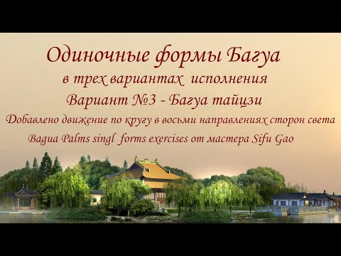 Видео: Одиночные формы Багуа. Вариант №3 - Багуа Тайцзи. Bagua Palms singl  forms from the Master Sifu Gao.