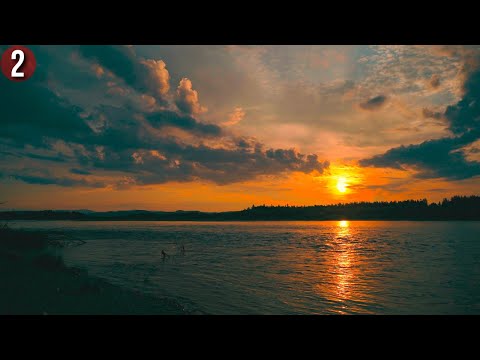 Видео: Все лето в тайге с женой и двумя собаками. 3500 км по горным рекам Полярного Урала 2022 - 2 серия