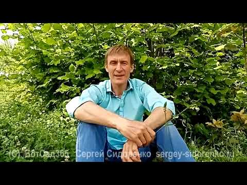 Видео: Луговой газон - ЧАСТЬ 1