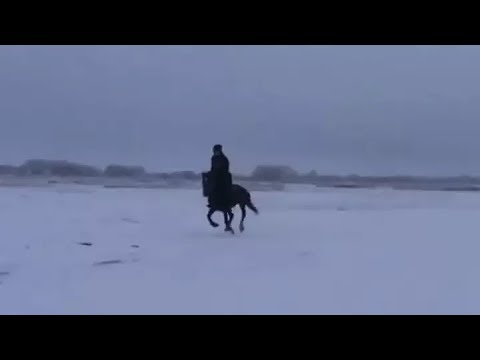 Видео: Хуторок. (Сыпал снег буланому под ноги).Разбор игры на семиструнной гитаре.