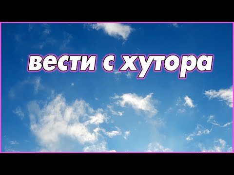 Видео: Не скучаем. Топим, садим, убираем