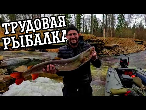 Видео: Рыбалка на Тайменя ранней весной.