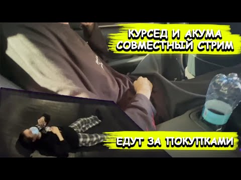 Видео: Курсед И Акума Выбирают Вещи. ИРЛ Стрим 💑