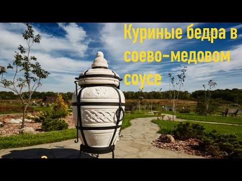 Видео: Куриные бёдра в соево-медовом соусе в тандыре
