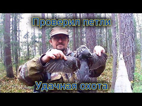 Видео: Проверил петли на рябчика. Удачная охота.