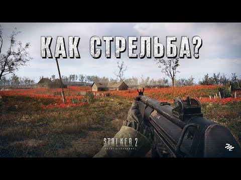 Видео: STALKER 2 с точки зрения шутера: фишки, детали, стрельба