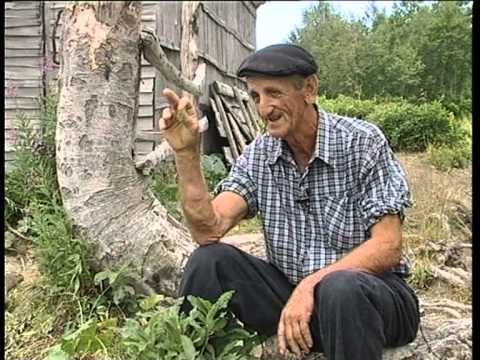 Видео: Прикованные к фишту.mpg