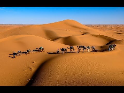 Видео: Светқали НҰРЖАН - Бәли Қашағанның  Құл баласы Тұрланның қазасы үстінде айтқаны.