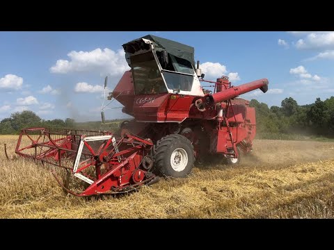 Видео: Лучший в мире комбайн снова приехал к нам! Молотим ячмень!