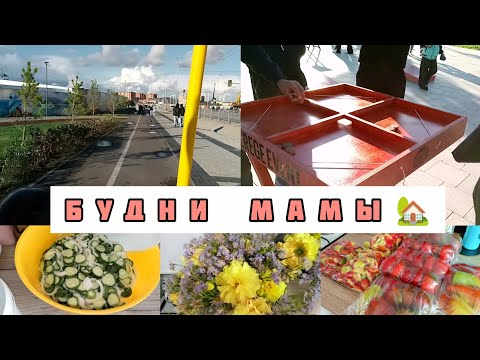 Видео: МОИ БУДНИ👩‍🍳ЗАГОТОВКА ПЕРЦА НА ЗИМУ🌶️1СЕНТЯБРЯ💐