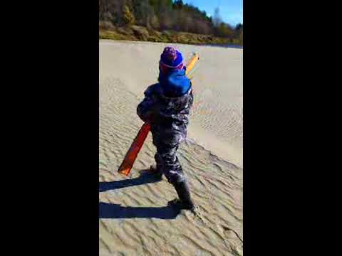 Видео: ВЕТЛУЖСКИЙ ТАЁЖНИК в прямом эфире!