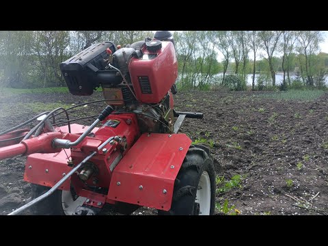 Видео: Весняний день рік годує. Фрезерування городів мотоблоком Форте 135.