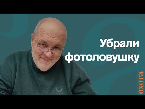 Видео: Убрали фотоловушку. Валерий Кузенков о правомерности.