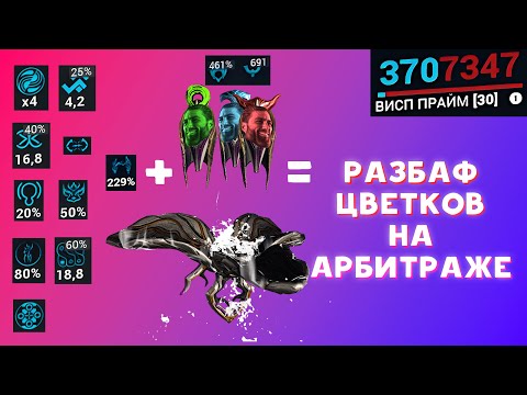 Видео: Секреты разбафа цветков на арбитраже в Warframe. [1/2] видео про Арбитраж.