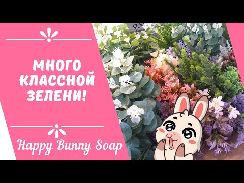 Видео: 🌿Много классной зелени!🌿