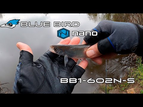 Видео: Огляд новинки Favorite Blue Bird Nano. Чи то МОРМО, чи то НАНО?