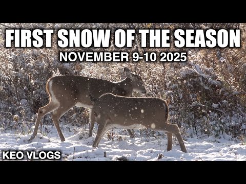 Видео: Первый снег сезона охоты!