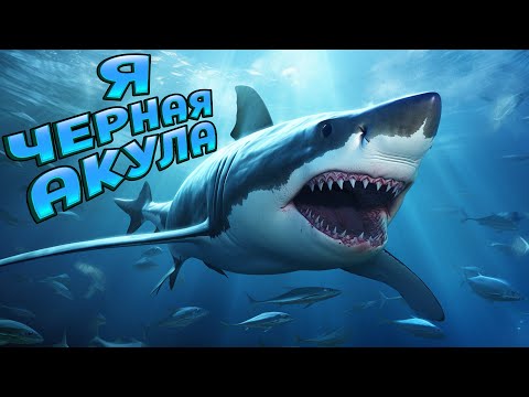 Видео: Я ЧЕРНАЯ АКУЛА ( Feed and Grow: Fish )