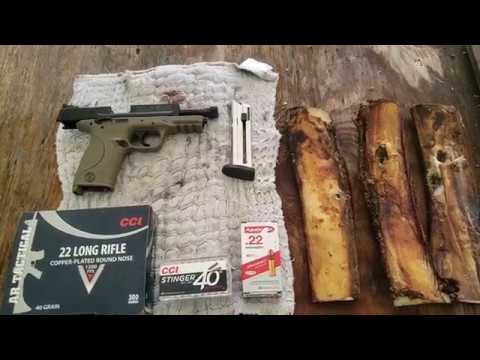 Видео: 22LR для самообороны? Готов поспорить. Размер CCW.