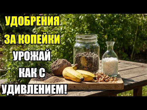 Видео: САМЫЕ ДЕШЁВЫЕ УДОБРЕНИЯ! СТОИТ КОПЕЙКИ — А ПОЛЬЗА О-ГО-ГО! ПРОСТЫЕ СЕКРЕТЫ УРОЖАЯ!